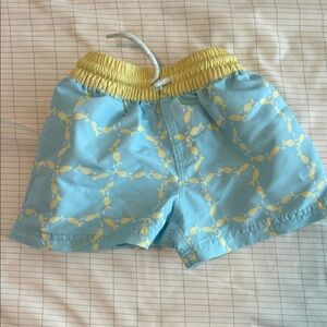 The Beaufort Bonnet Company Tortola Swim Trunks